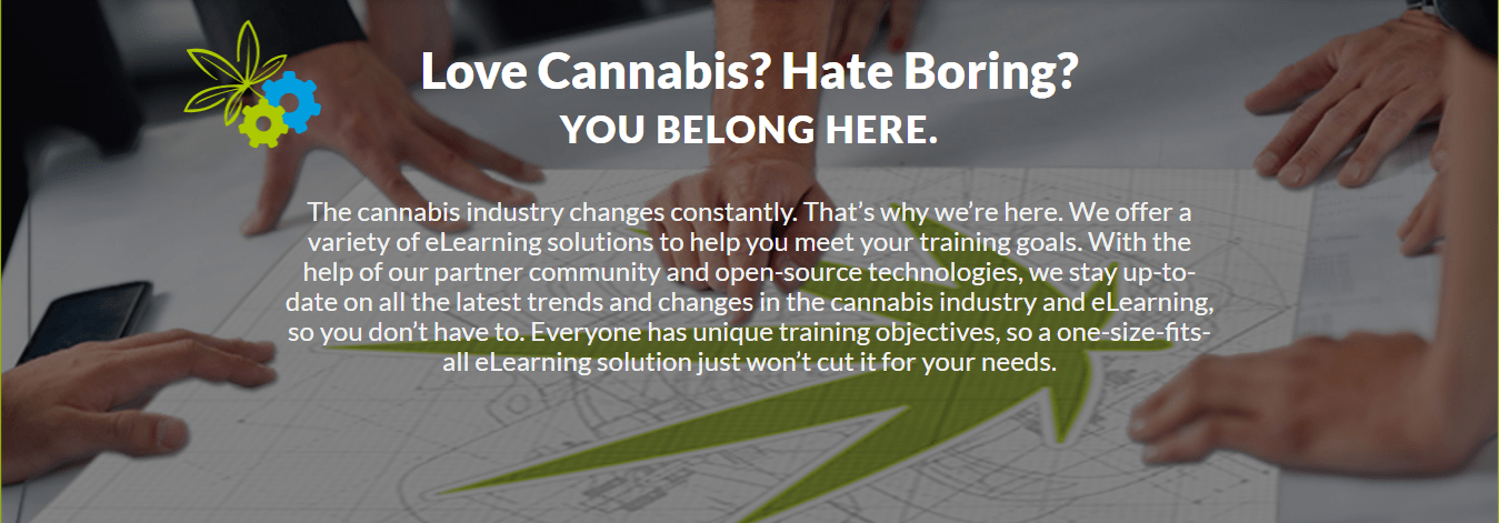 The green solution coupon code