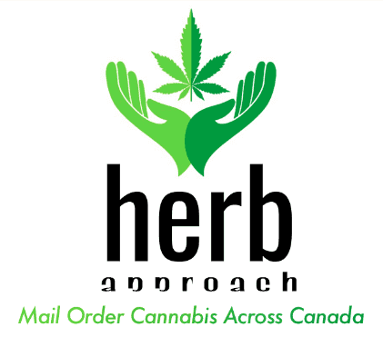Order coupons by mail
