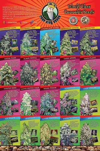 crop king discount coupon