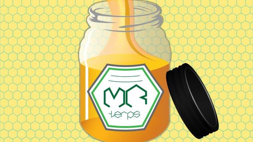 Mr delivery coupon code
