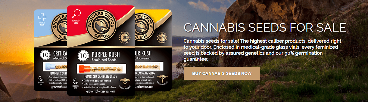 Get Grower's Choice Seeds coupon codes here! Cannabis seeds.