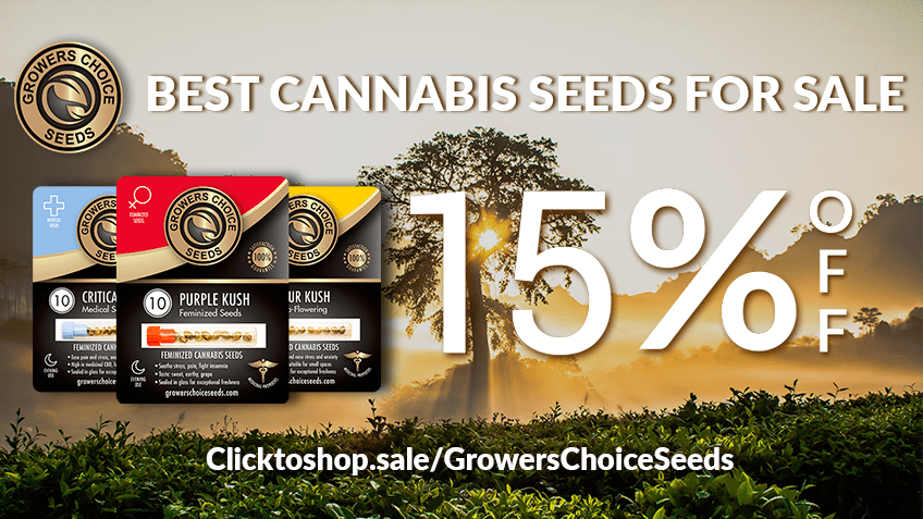 Buy Weed Seeds Online Canada – Weed-seeds.ca