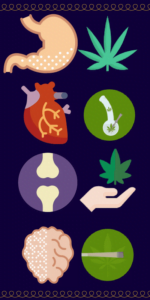 Colorful icons representing different cannabis strains paired with icons representing different health problems and physical ailments.