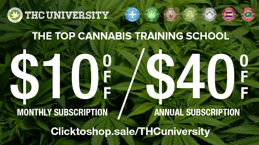 420 coupon